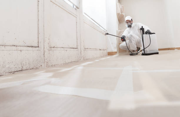 24/7 Emergency Mold Remediation experts in Wilson's Mills, NC